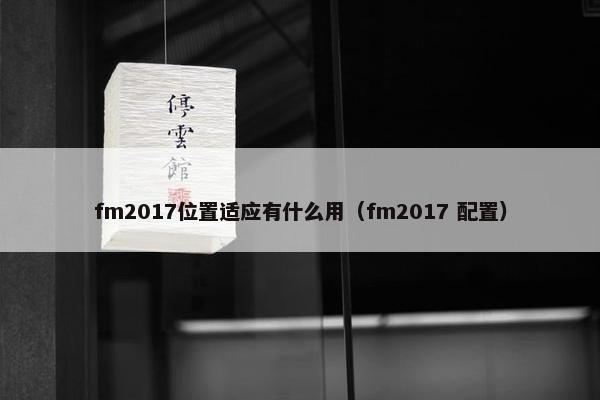 fm2017位置适应有什么用（fm2017 配置）