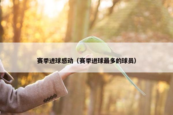 赛季进球感动（赛季进球最多的球员）