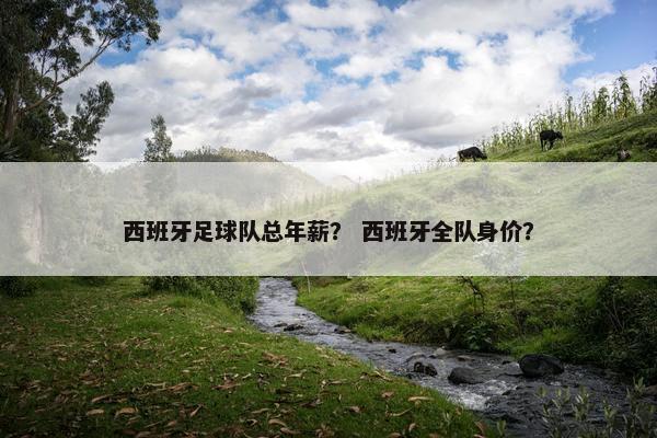 西班牙足球队总年薪？ 西班牙全队身价？
