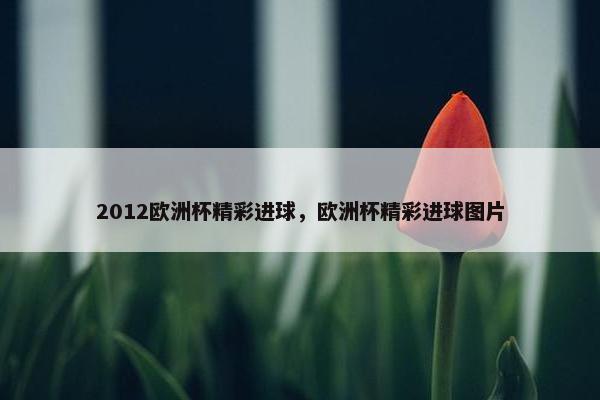 2012欧洲杯精彩进球，欧洲杯精彩进球图片