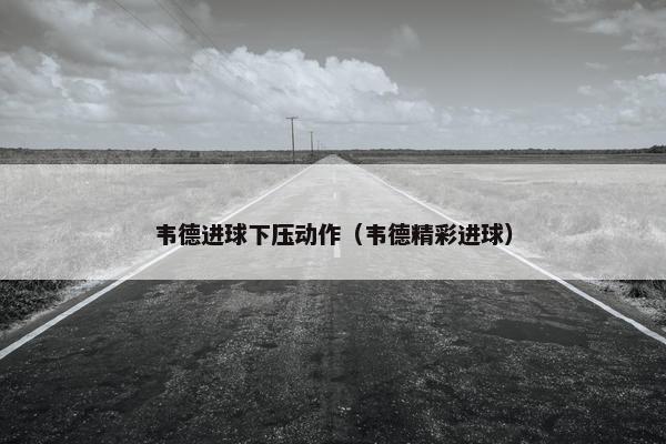 韦德进球下压动作（韦德精彩进球）