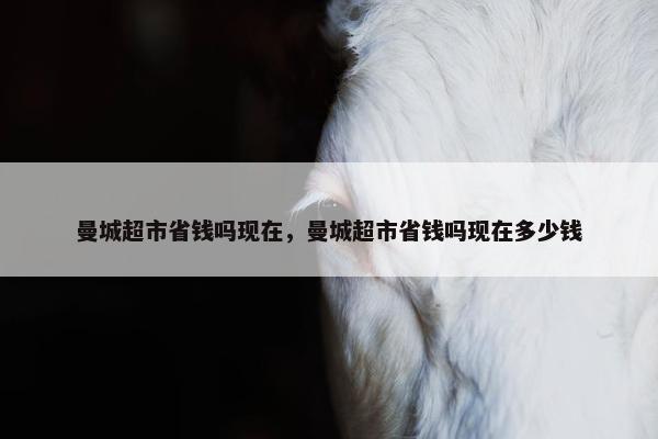 曼城超市省钱吗现在，曼城超市省钱吗现在多少钱