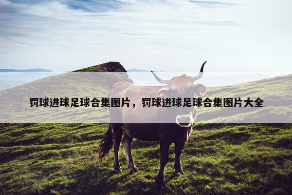 罚球进球足球合集图片，罚球进球足球合集图片大全