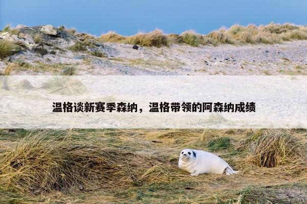 温格谈新赛季森纳，温格带领的阿森纳成绩