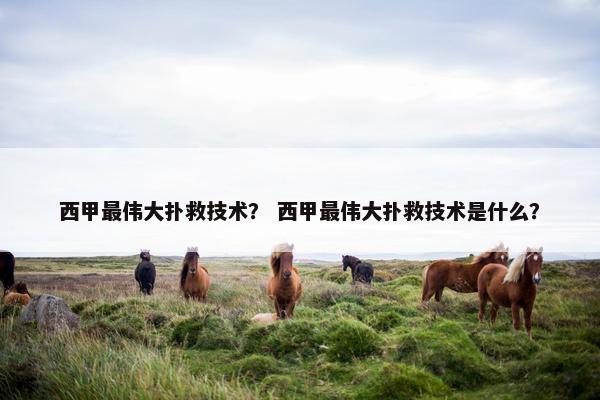 西甲最伟大扑救技术？ 西甲最伟大扑救技术是什么？