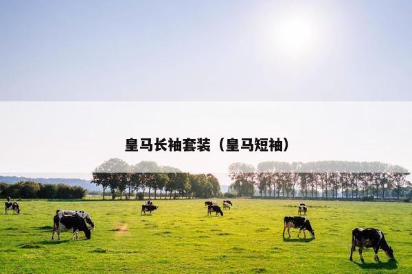 皇马长袖套装（皇马短袖）