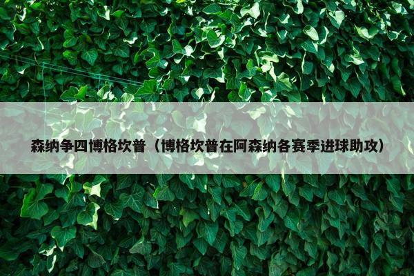 森纳争四博格坎普（博格坎普在阿森纳各赛季进球助攻）
