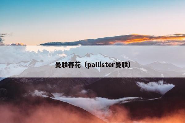 曼联春花（pallister曼联）