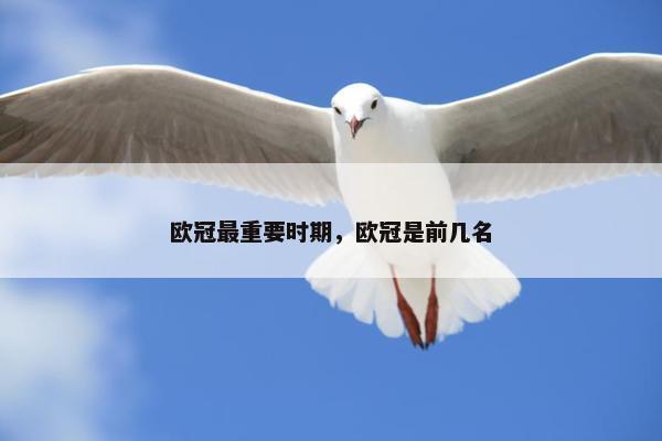 欧冠最重要时期，欧冠是前几名