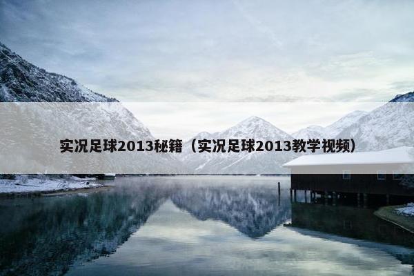 实况足球2013秘籍（实况足球2013教学视频）