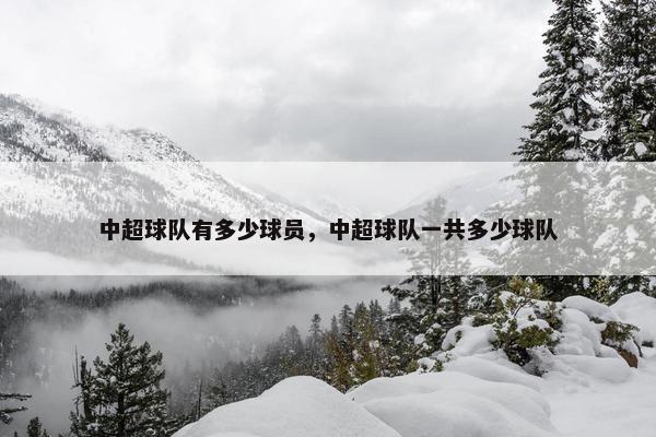 中超球队有多少球员，中超球队一共多少球队