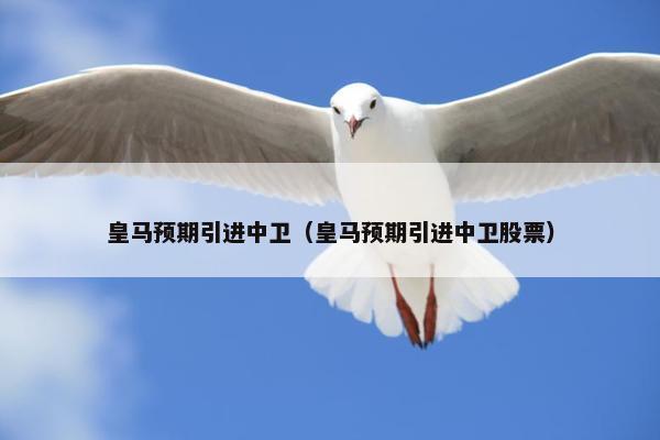 皇马预期引进中卫（皇马预期引进中卫股票）