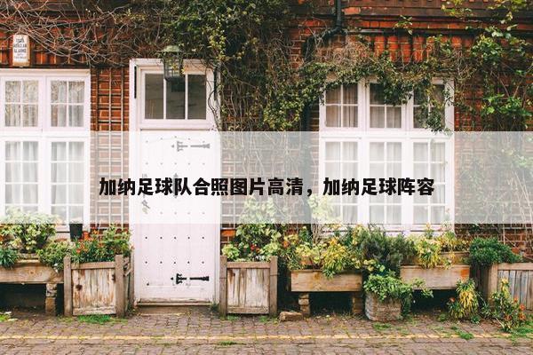 加纳足球队合照图片高清，加纳足球阵容