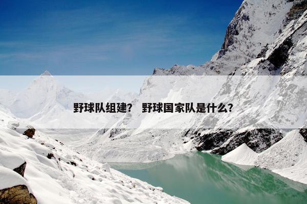 野球队组建？ 野球国家队是什么？