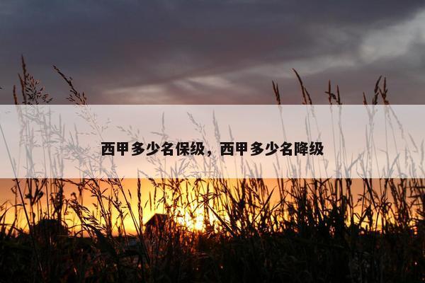 西甲多少名保级，西甲多少名降级