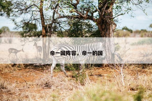 帝一国阵容，帝一的国