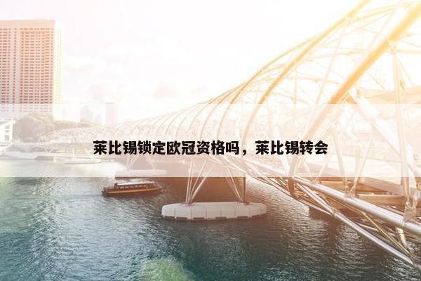 莱比锡锁定欧冠资格吗，莱比锡转会