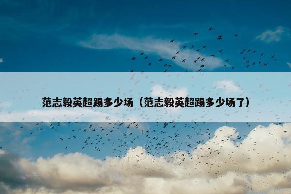 范志毅英超踢多少场（范志毅英超踢多少场了）