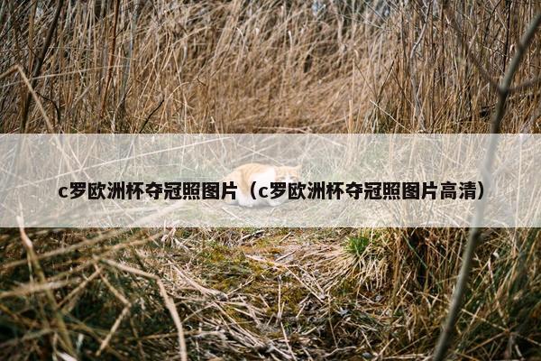 c罗欧洲杯夺冠照图片（c罗欧洲杯夺冠照图片高清）