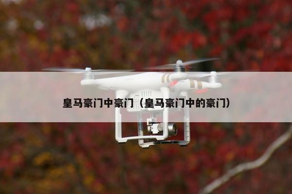 皇马豪门中豪门（皇马豪门中的豪门）