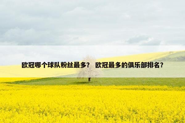 欧冠哪个球队粉丝最多？ 欧冠最多的俱乐部排名？