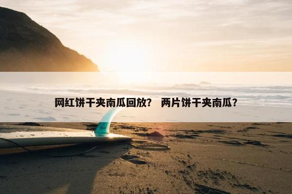 网红饼干夹南瓜回放？ 两片饼干夹南瓜？