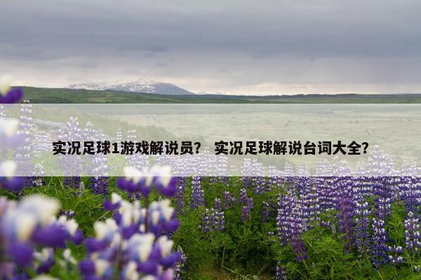 实况足球1游戏解说员？ 实况足球解说台词大全？