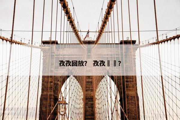 孜孜回放？ 孜孜砽砽？