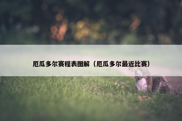 厄瓜多尔赛程表图解（厄瓜多尔最近比赛）
