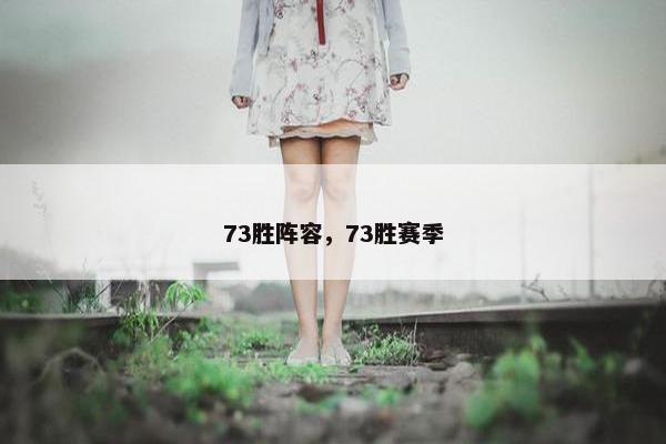 73胜阵容，73胜赛季