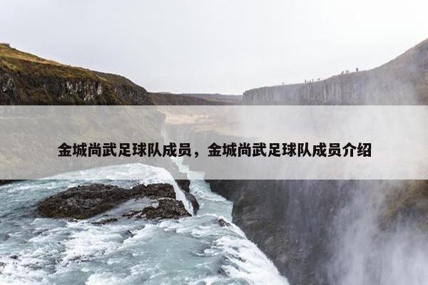 金城尚武足球队成员，金城尚武足球队成员介绍