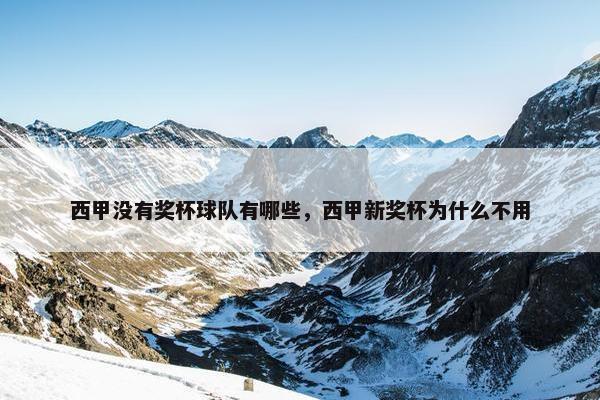 西甲没有奖杯球队有哪些，西甲新奖杯为什么不用