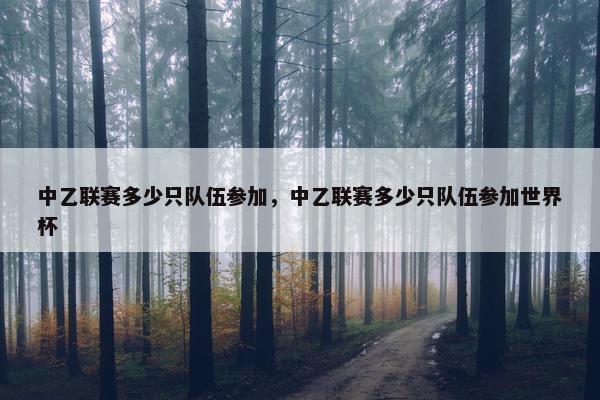 中乙联赛多少只队伍参加，中乙联赛多少只队伍参加世界杯