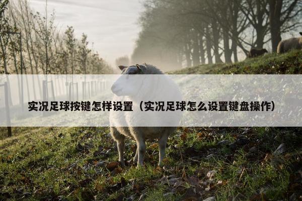 实况足球按键怎样设置（实况足球怎么设置键盘操作）