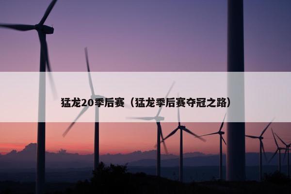 猛龙20季后赛（猛龙季后赛夺冠之路）