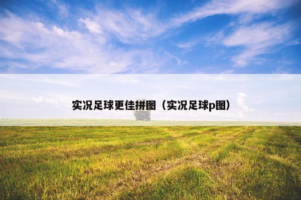 实况足球更佳拼图（实况足球p图）