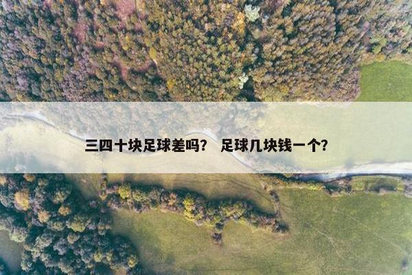 三四十块足球差吗？ 足球几块钱一个？