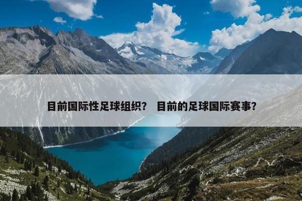目前国际性足球组织？ 目前的足球国际赛事？