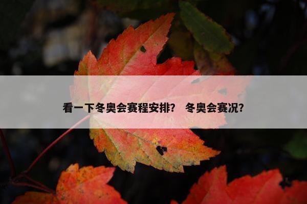 看一下冬奥会赛程安排？ 冬奥会赛况？