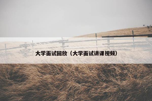 大学面试回放（大学面试讲课视频）