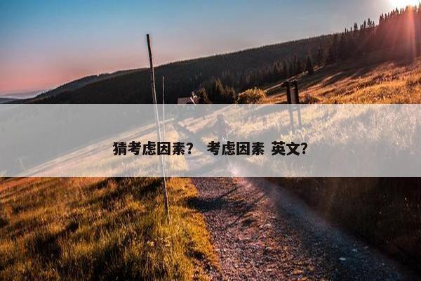 猜考虑因素？ 考虑因素 英文？