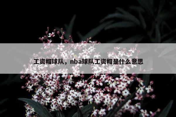 工资帽球队，nba球队工资帽是什么意思