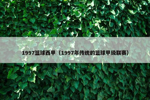 1997篮球西甲（1997年传统的篮球甲级联赛）