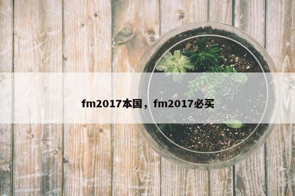 fm2017本国，fm2017必买