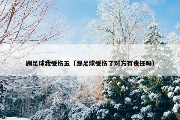 踢足球我受伤五（踢足球受伤了对方有责任吗）