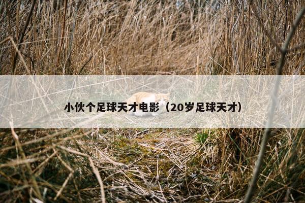 小伙个足球天才电影（20岁足球天才）