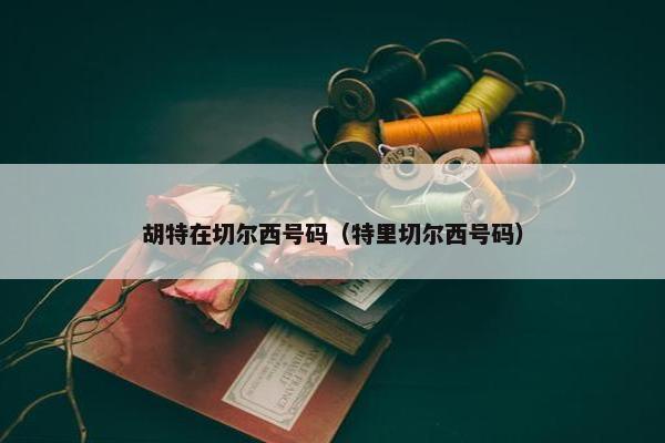 胡特在切尔西号码（特里切尔西号码）