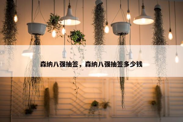 森纳八强抽签，森纳八强抽签多少钱