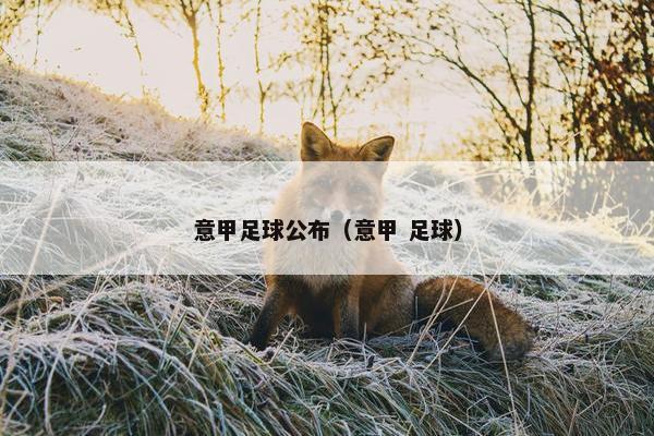 意甲足球公布（意甲 足球）