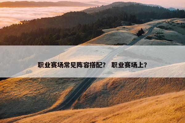 职业赛场常见阵容搭配？ 职业赛场上？